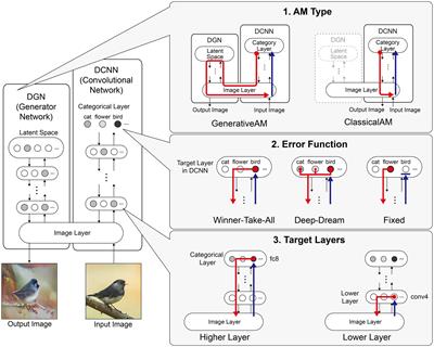 Modelling phenomenological differences in aetiologically distinct visual hallucinations using deep neural networks